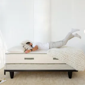 Metal Bed Frame