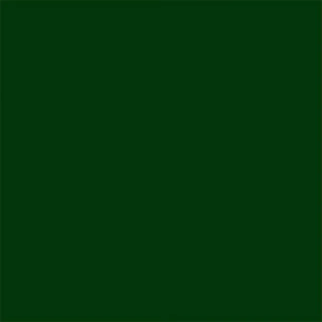 Rust-Oleum Painter's Touch 2X Ultra Cover Semi-Gloss Hunter Green Paint Primer Spray Paint 12 oz